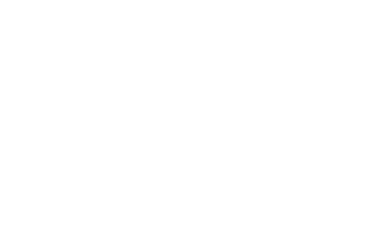 Argor-Heraeus